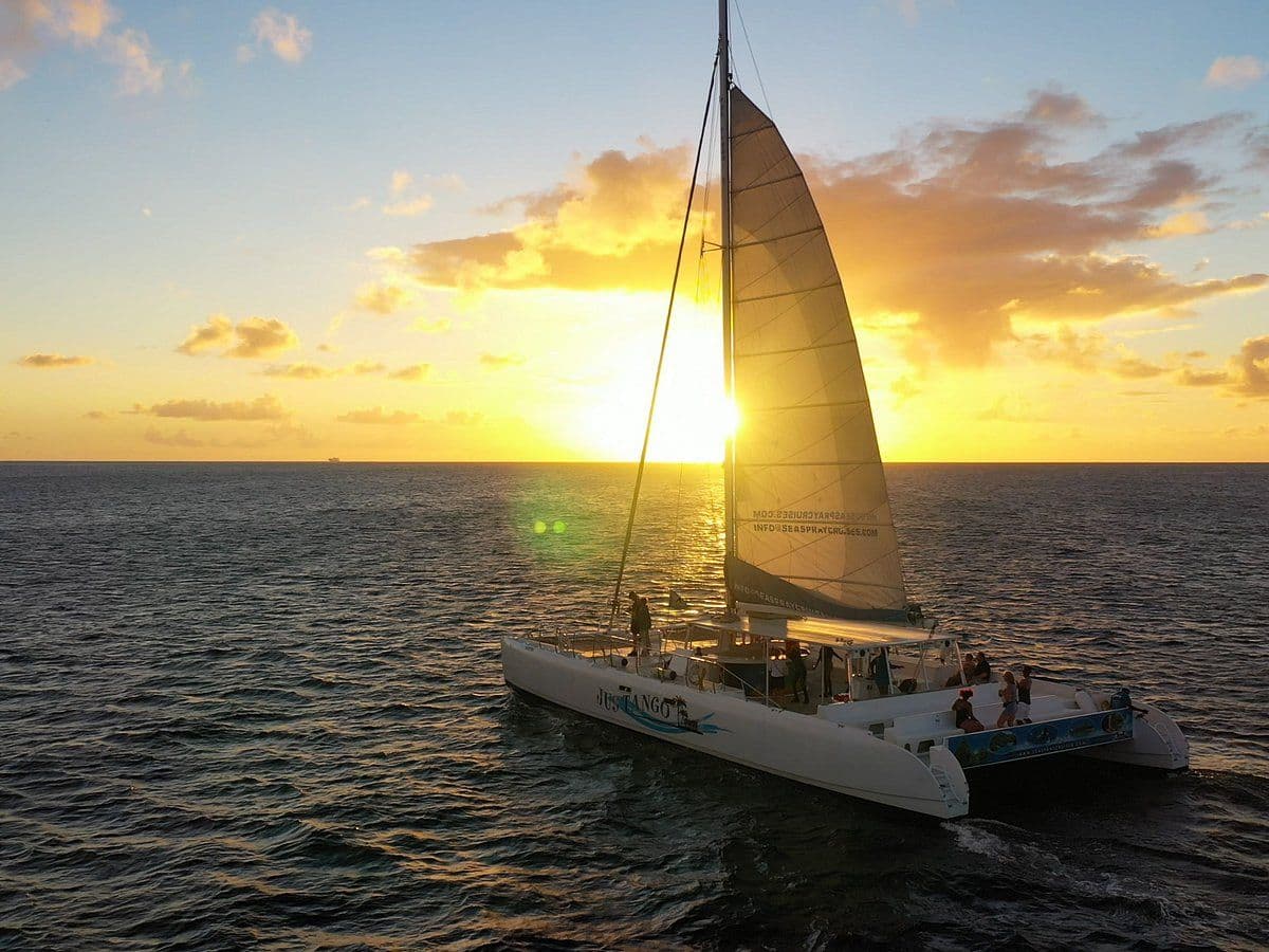 Beyond Mirissa: The Best Time and Tour Operators for Whale Watching near Weligama