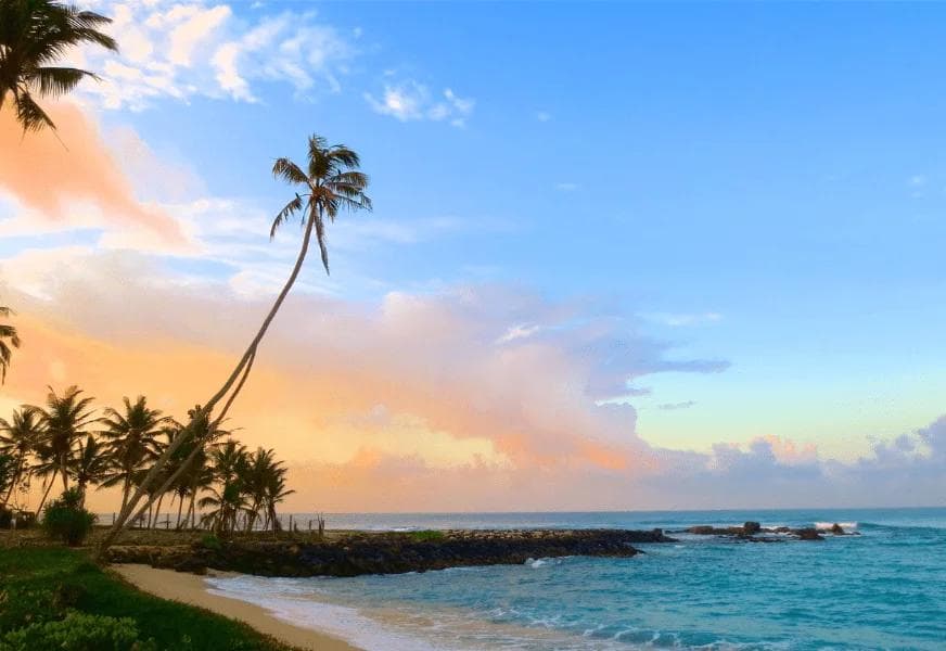 The Best Time to Visit Weligama, Sri Lanka: Weather, Waves, and Festivals Guide