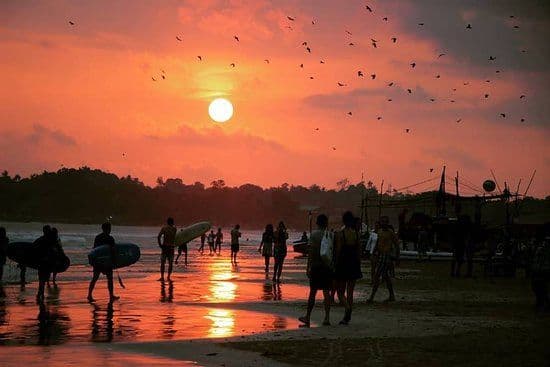 Weligama Beach: The Surfer's Canvas