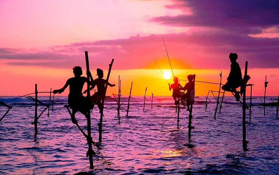 Weligama Stilt Fishermen: An Ancient Art